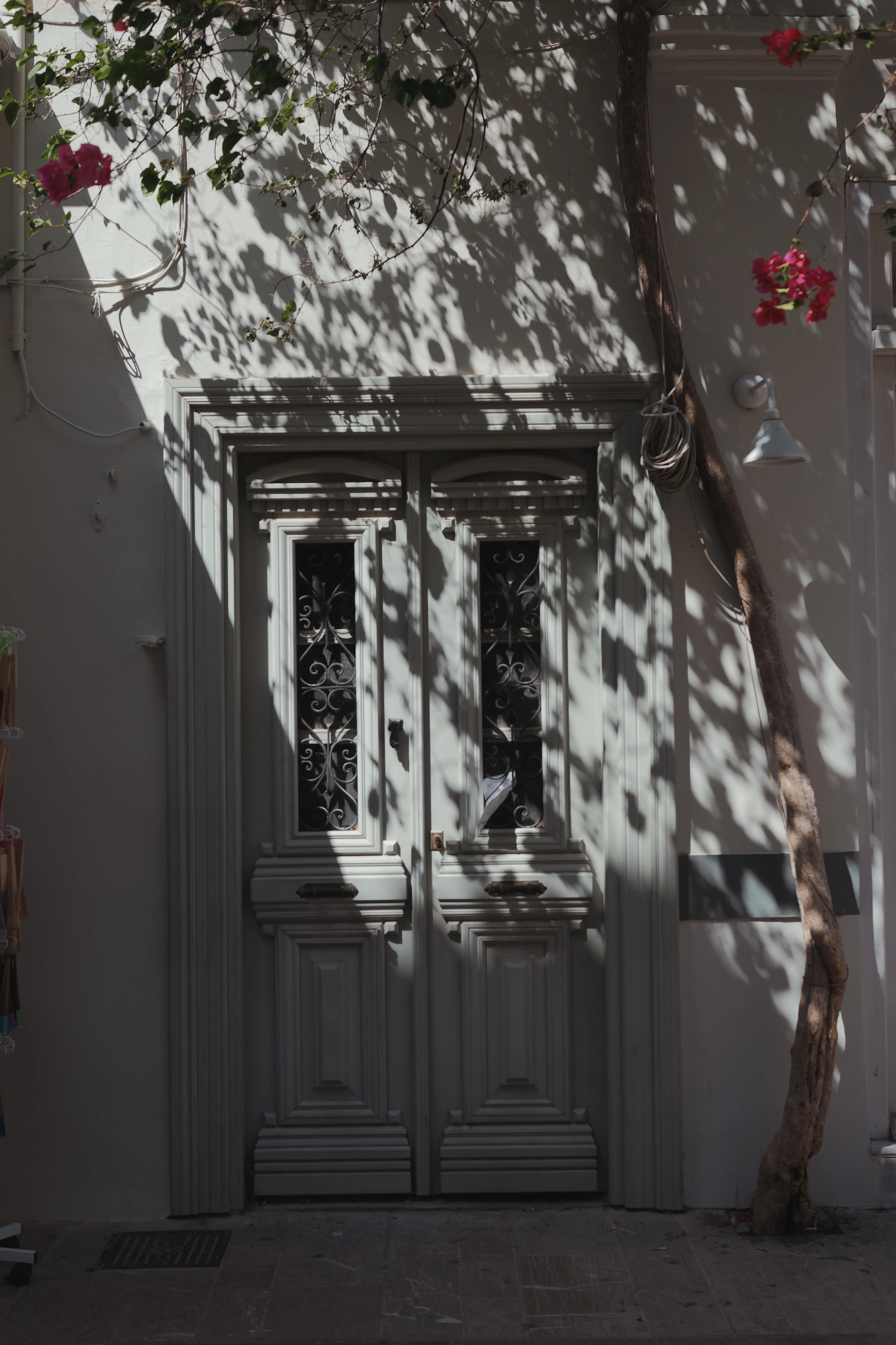 A white door dappled with light