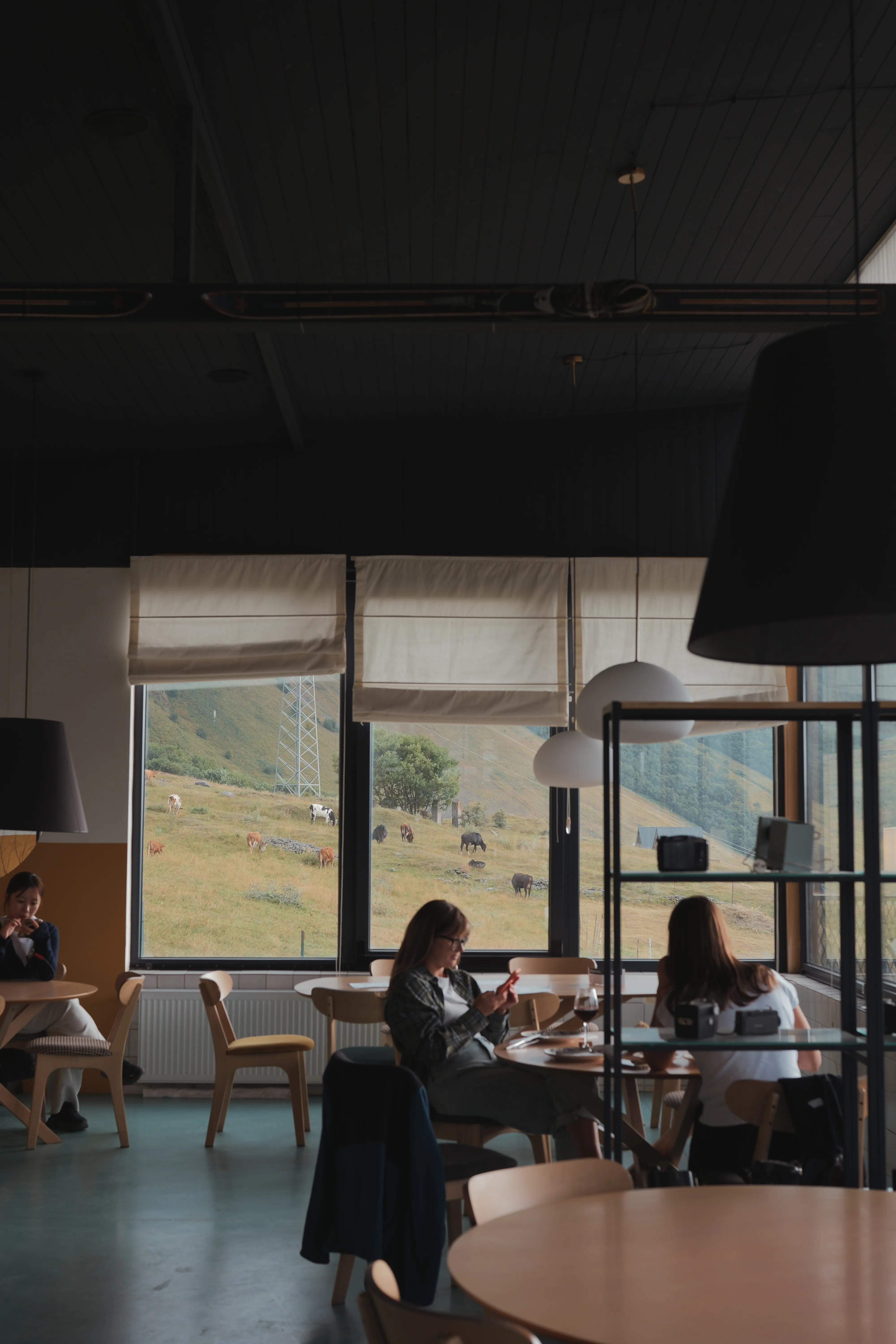 A café overlooking a pasture